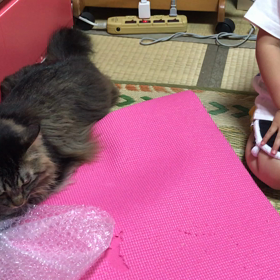 レオナルドレオンの脅威3の画像