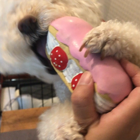 エクレアの画像