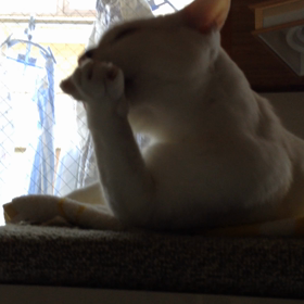 ただいま〜の画像