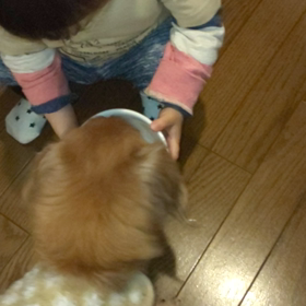 預かり保育の画像