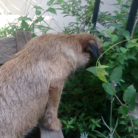 美味しい？の画像