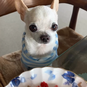 お誕生日の画像