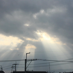 曇り空なので...の画像