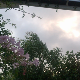 あさの歌声。の画像