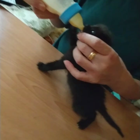 早く大きくなぁ~れの画像