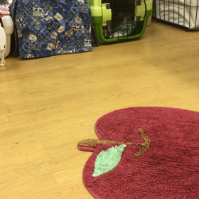 オヤツも食べられるようになったよ。の画像