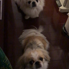 23時のおねだりの画像