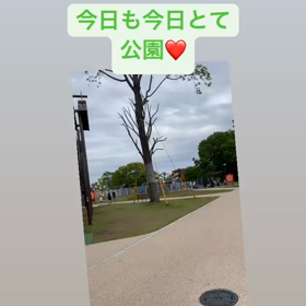 公園の画像