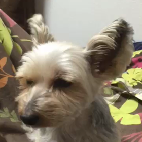 もう無理〜〜の画像