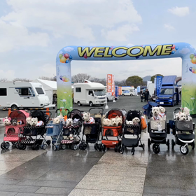 久留米わんだふるの画像