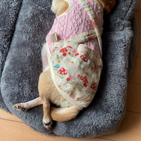 オリーブさんのイビキの画像