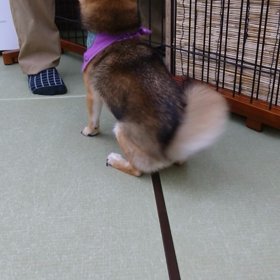 ★ かわいいおちり ★の画像