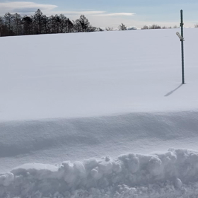 雪の散歩の画像
