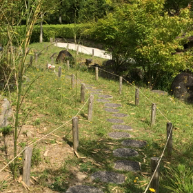 お散歩動画だおーの画像