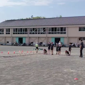 8/5　ダッシュの場②の画像