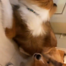 20210904 Win IGSの画像