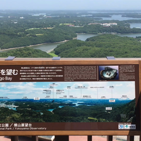 横山展望台への画像