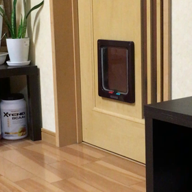 イタズラする黒猫ちゃん  (=^ェ^=)の画像