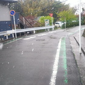 名残り雪？の画像