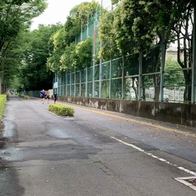 7月5日 ロード練習②の画像