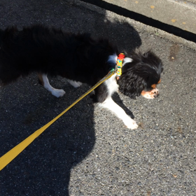 ■身震いの疑問■の画像