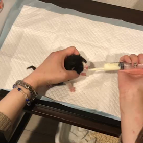 今日のニャンコの画像