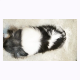 ☆癒しタイム☆の画像