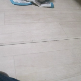 ゆうちゃん⑤の画像