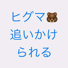 ヒグマに、、、の画像