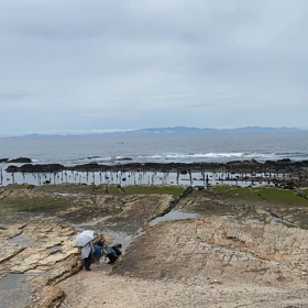 豊浜本店にグランピング施設『SORA BASE』がオープン！！！の画像