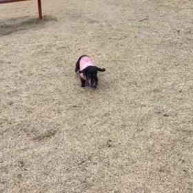 晴れの日は〜の画像