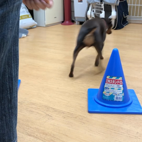 ま、最初だし。の画像