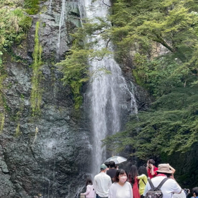 今日の滝の画像