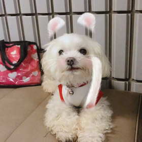 あらら‼️の画像