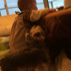 ボイパ。の画像