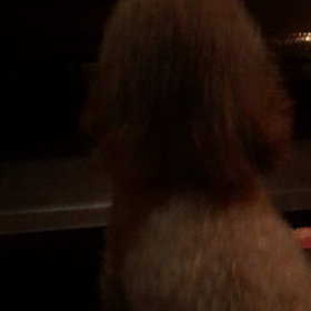 初めての階段を上がり？？(^_^;)の画像