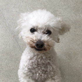 ♪プレイルーム動画♪②の画像