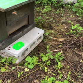 7/17 内検　壊滅しました...の画像