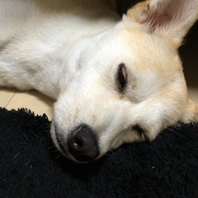 どうして？の画像