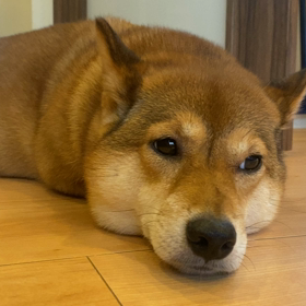 一番に会わせてあげたいのはの画像