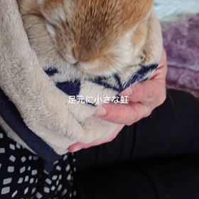 カウントダウンの画像