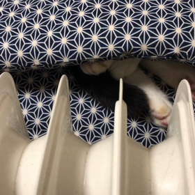 あったかいんだなぁ。の画像