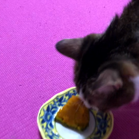 上手くいかない時間の拘束。娘の鉗子分娩医療保険金。デールはかぼちゃがお好き！の画像