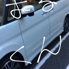 マル〜！の画像