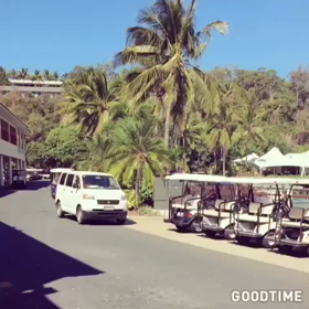 ハミルトン島の風景♡の画像
