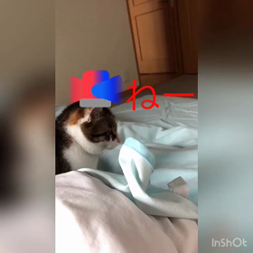 明日デールちゃんは…やっぱり寂しい。チップとデールのポップな字幕付き動画の画像