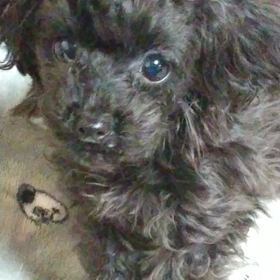 善かれと思って‥の画像