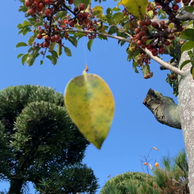 ハンドメイドの画像