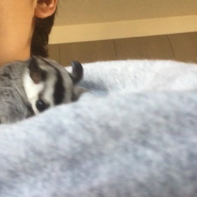 クンクン∩(´∀｀❤)∩ﾜｧｲ♪の画像