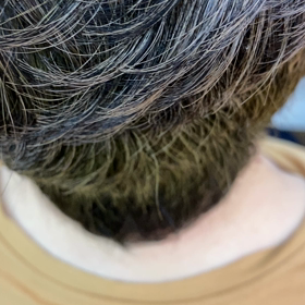 和漢彩染で染めているの画像